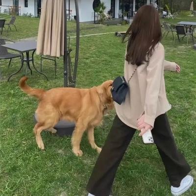 监视对象
