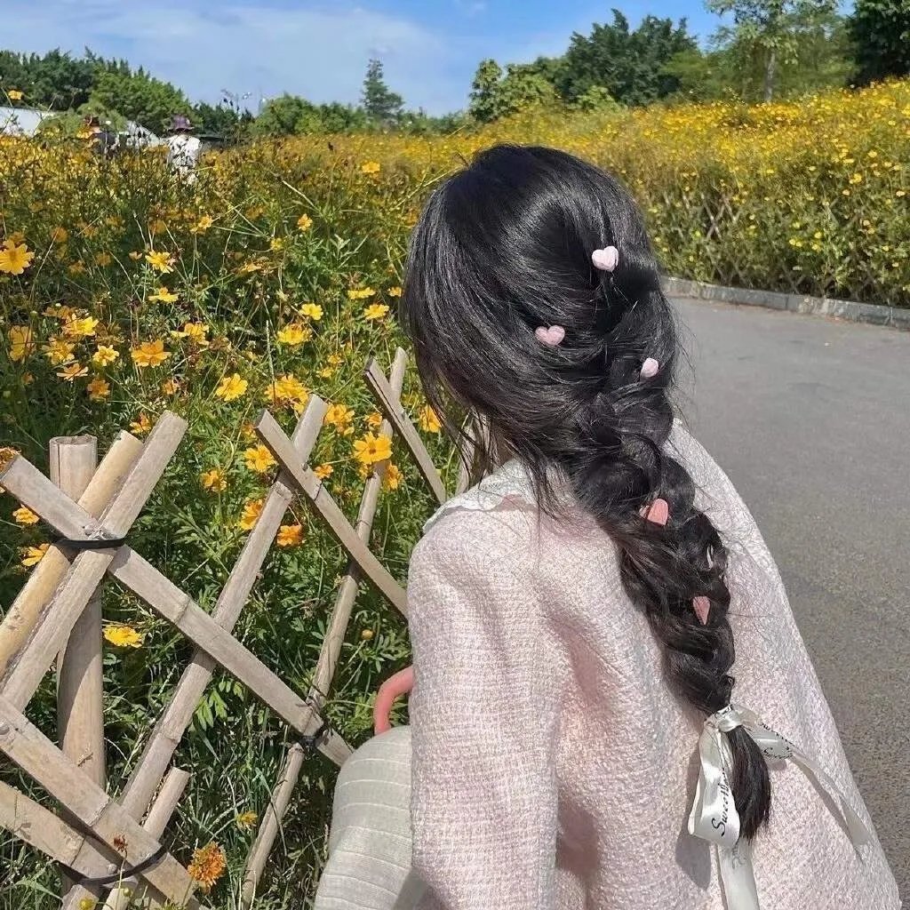 少年天子